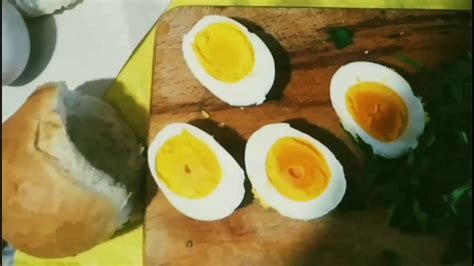 taze yumurta suda nasıl durur